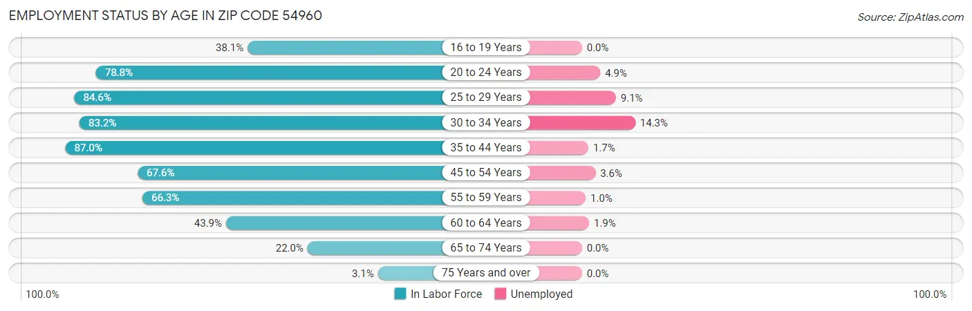Employment Status by Age in Zip Code 54960