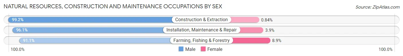 Natural Resources, Construction and Maintenance Occupations by Sex in Zip Code 54961