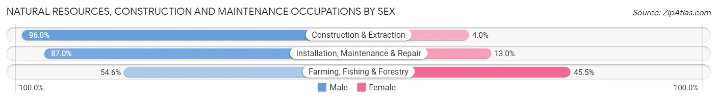 Natural Resources, Construction and Maintenance Occupations by Sex in Zip Code 54963