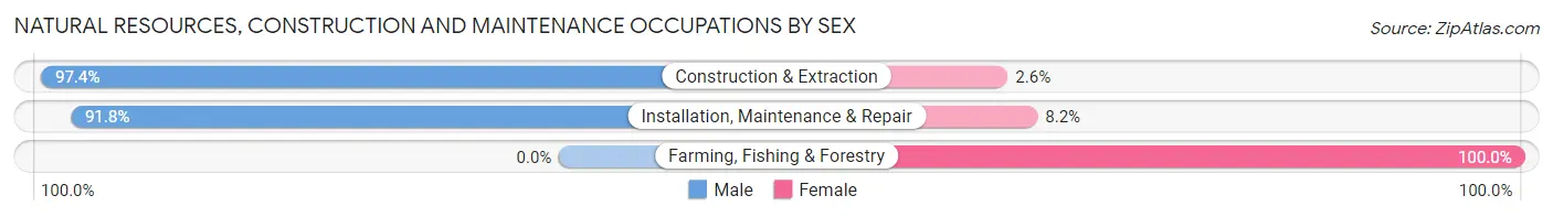 Natural Resources, Construction and Maintenance Occupations by Sex in Zip Code 54968