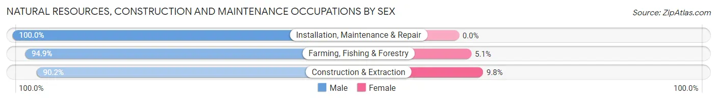 Natural Resources, Construction and Maintenance Occupations by Sex in Zip Code 54984