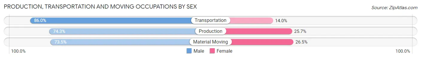 Production, Transportation and Moving Occupations by Sex in Zip Code 55005