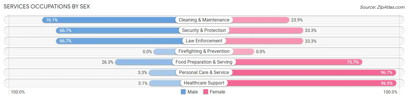 Services Occupations by Sex in Zip Code 55006