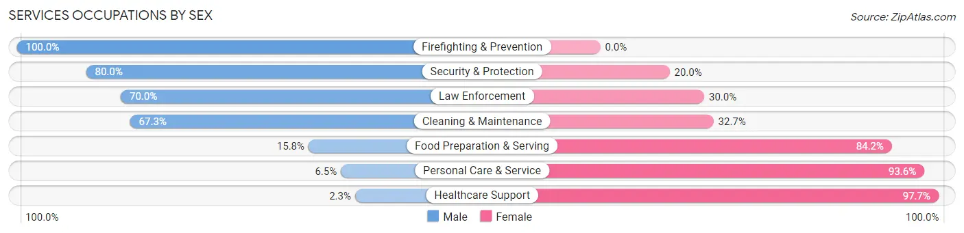 Services Occupations by Sex in Zip Code 55007