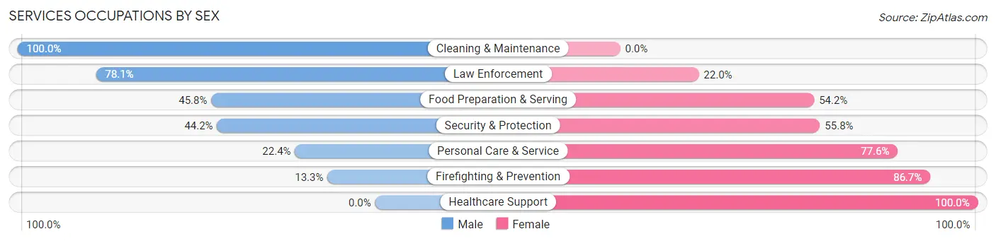 Services Occupations by Sex in Zip Code 55013