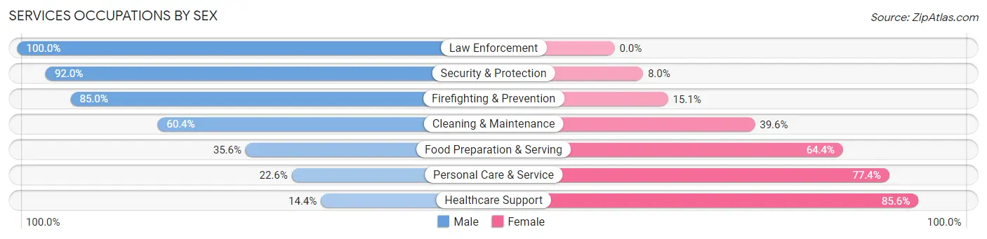 Services Occupations by Sex in Zip Code 55016