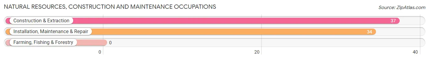 Natural Resources, Construction and Maintenance Occupations in Zip Code 55017