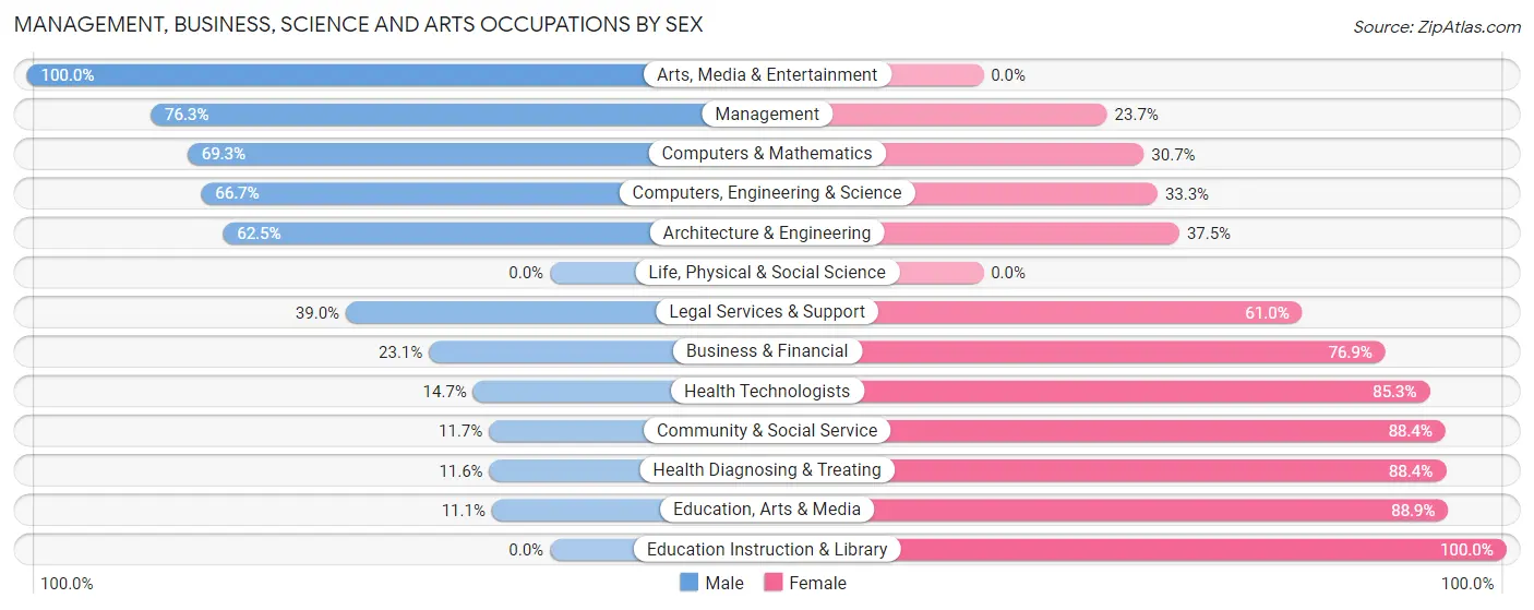 Management, Business, Science and Arts Occupations by Sex in Zip Code 55020