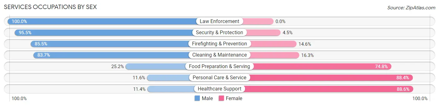 Services Occupations by Sex in Zip Code 55024