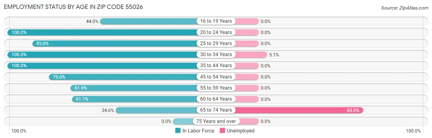 Employment Status by Age in Zip Code 55026