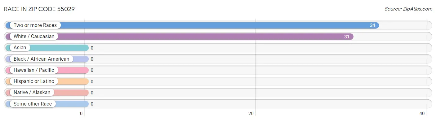 Race in Zip Code 55029