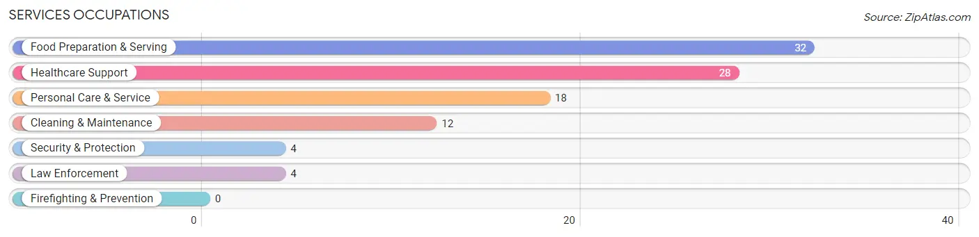 Services Occupations in Zip Code 55030