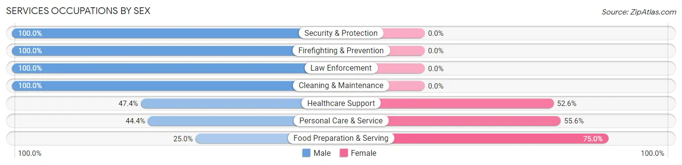Services Occupations by Sex in Zip Code 55031