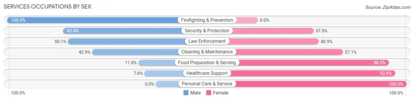 Services Occupations by Sex in Zip Code 55032