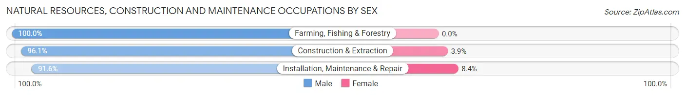 Natural Resources, Construction and Maintenance Occupations by Sex in Zip Code 55038
