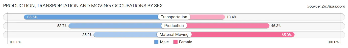 Production, Transportation and Moving Occupations by Sex in Zip Code 55042