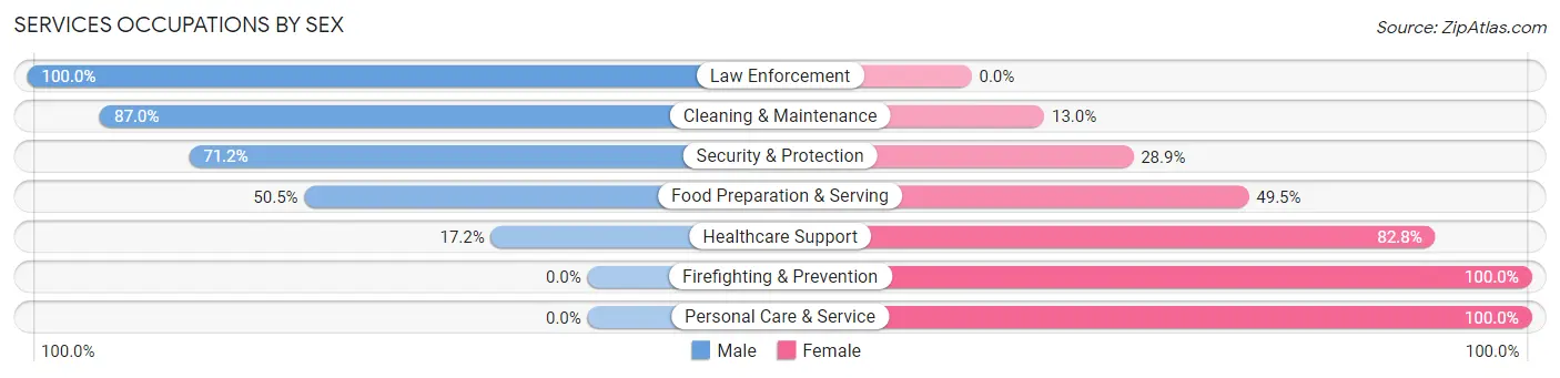 Services Occupations by Sex in Zip Code 55042
