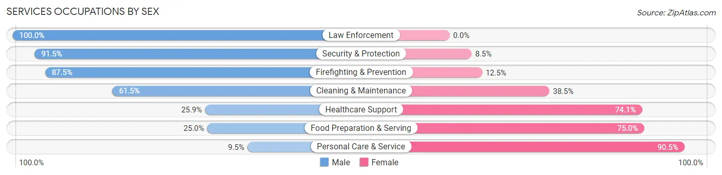 Services Occupations by Sex in Zip Code 55043