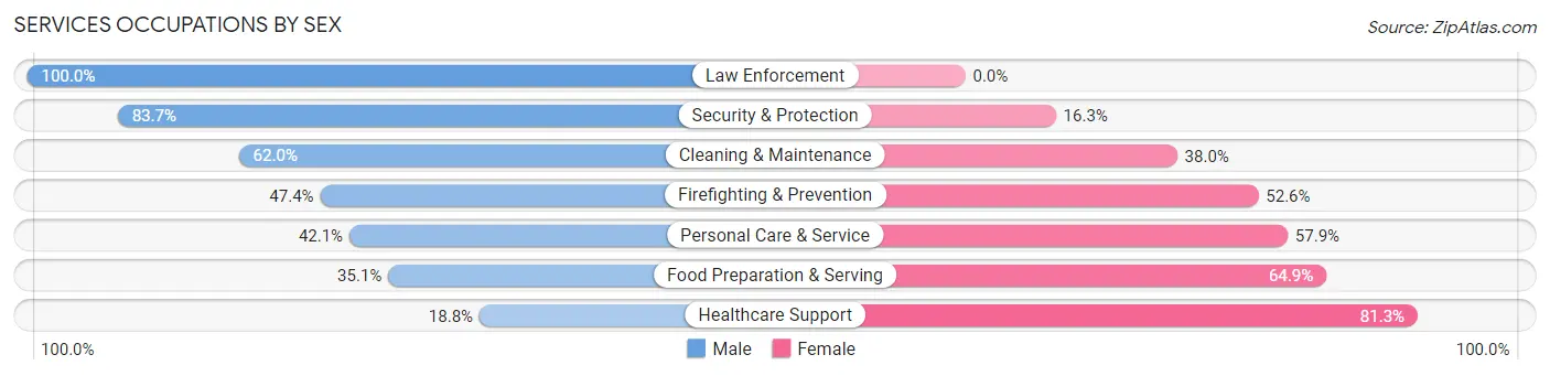 Services Occupations by Sex in Zip Code 55045