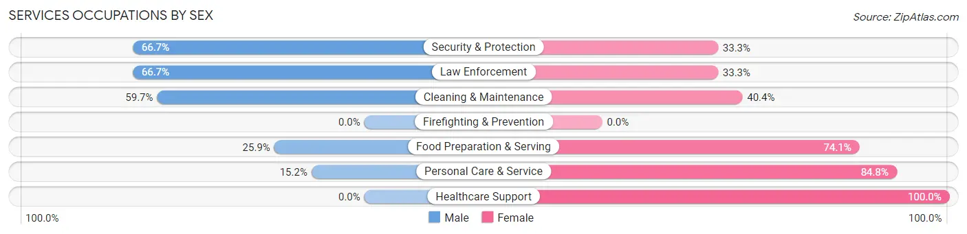 Services Occupations by Sex in Zip Code 55047