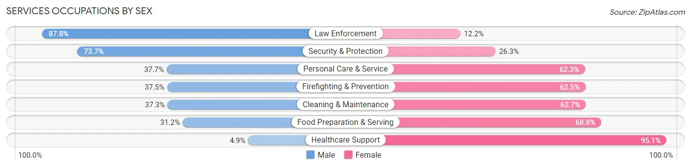 Services Occupations by Sex in Zip Code 55051