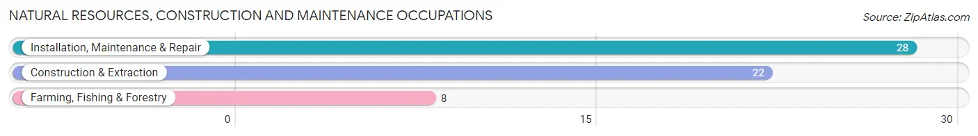 Natural Resources, Construction and Maintenance Occupations in Zip Code 55053