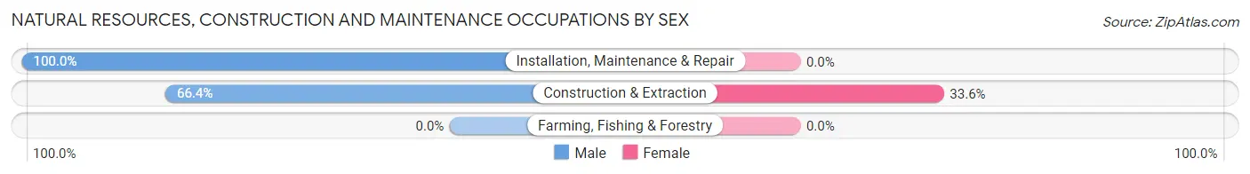 Natural Resources, Construction and Maintenance Occupations by Sex in Zip Code 55055
