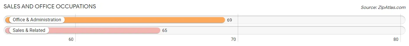 Sales and Office Occupations in Zip Code 55065
