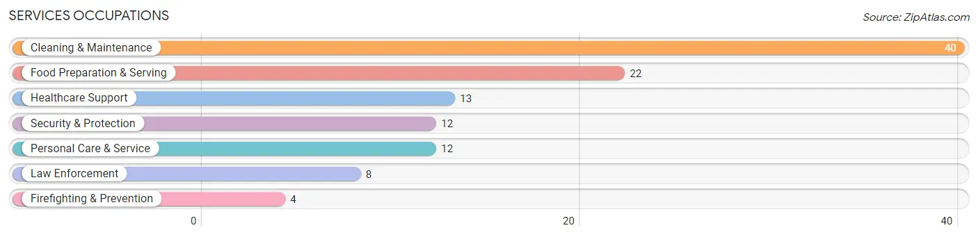 Services Occupations in Zip Code 55065