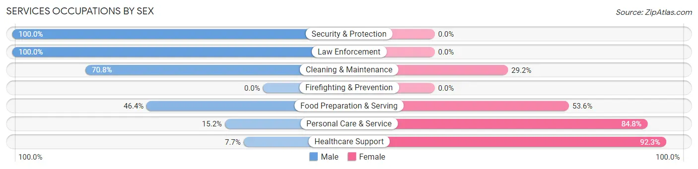 Services Occupations by Sex in Zip Code 55069