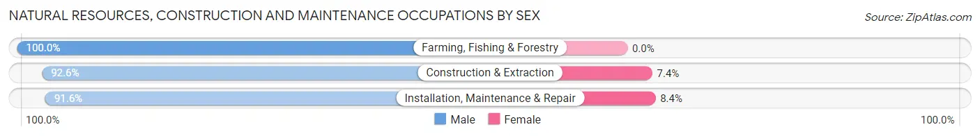 Natural Resources, Construction and Maintenance Occupations by Sex in Zip Code 55075