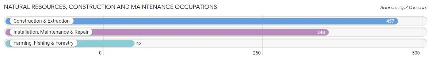 Natural Resources, Construction and Maintenance Occupations in Zip Code 55076