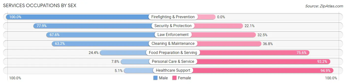 Services Occupations by Sex in Zip Code 55076