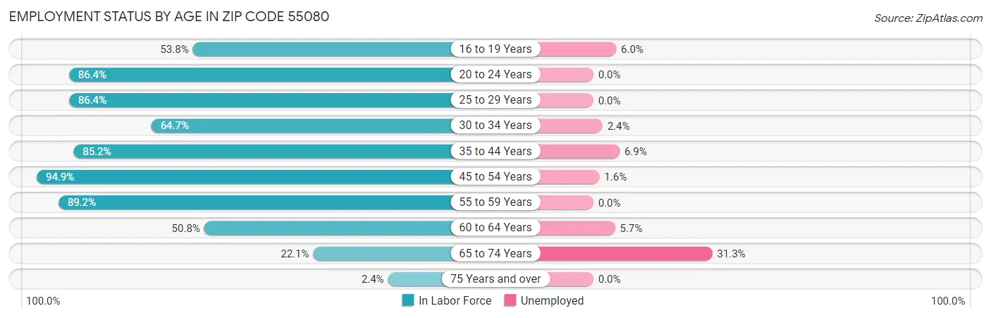 Employment Status by Age in Zip Code 55080