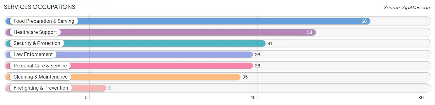 Services Occupations in Zip Code 55080