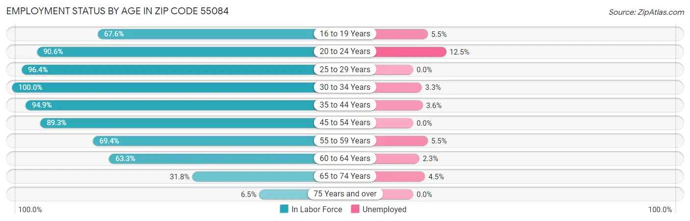 Employment Status by Age in Zip Code 55084