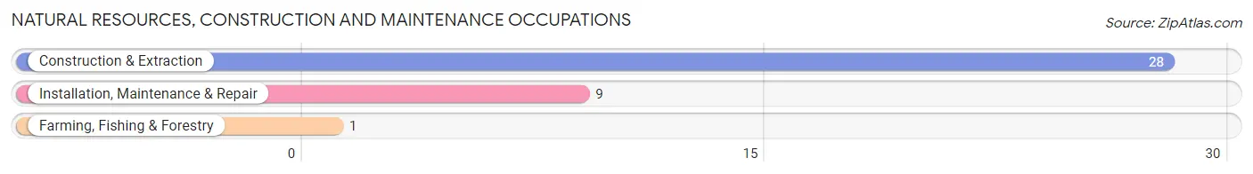 Natural Resources, Construction and Maintenance Occupations in Zip Code 55085