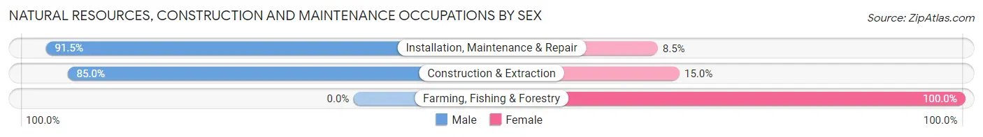 Natural Resources, Construction and Maintenance Occupations by Sex in Zip Code 55088