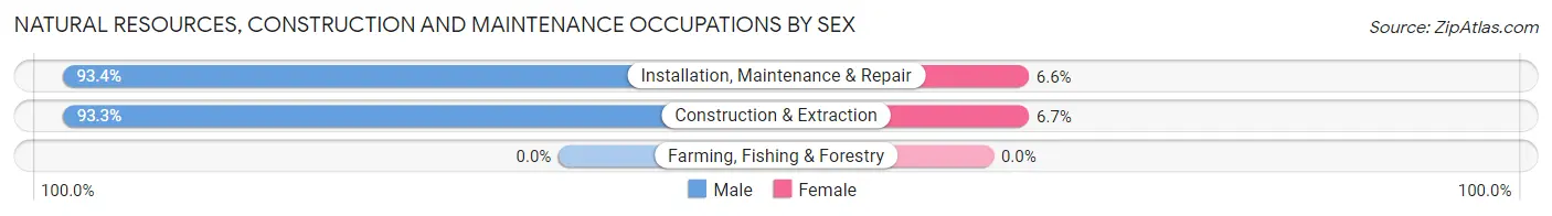 Natural Resources, Construction and Maintenance Occupations by Sex in Zip Code 55104