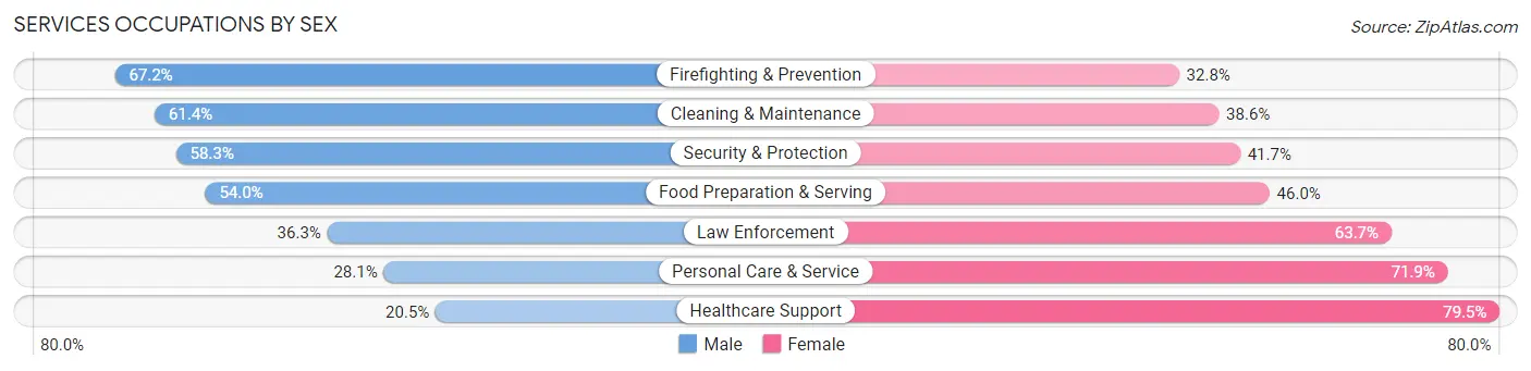 Services Occupations by Sex in Zip Code 55104