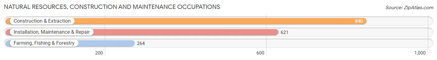 Natural Resources, Construction and Maintenance Occupations in Zip Code 55106