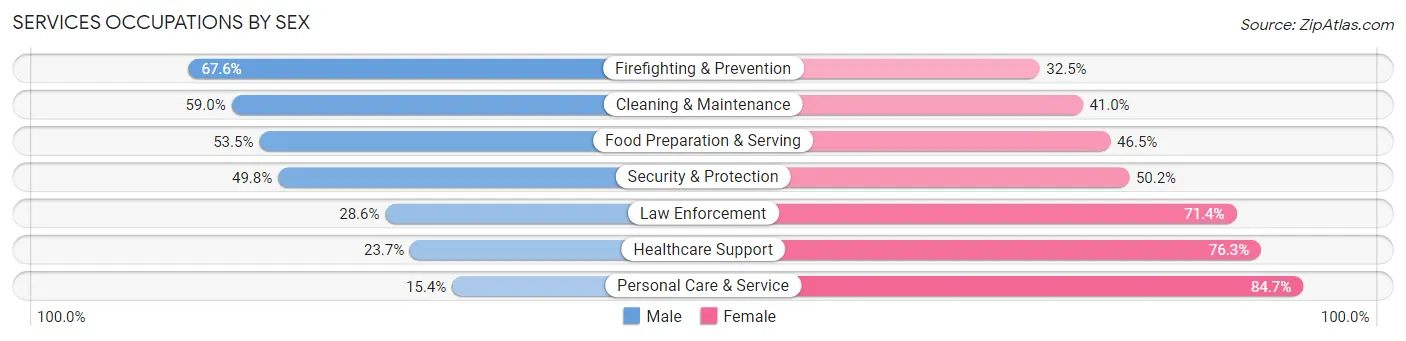 Services Occupations by Sex in Zip Code 55112