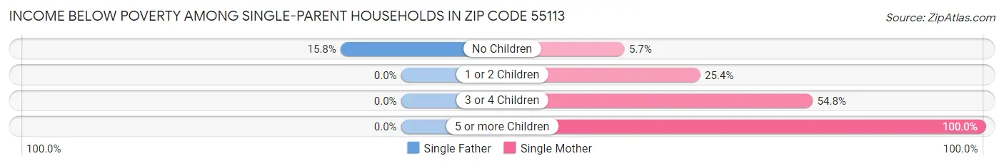 Income Below Poverty Among Single-Parent Households in Zip Code 55113