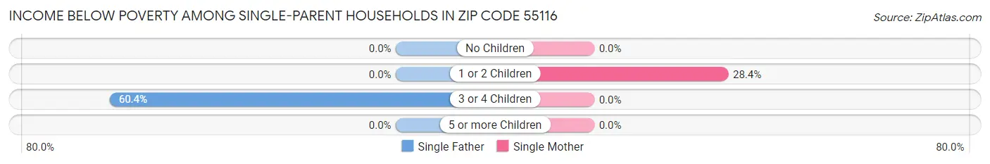 Income Below Poverty Among Single-Parent Households in Zip Code 55116