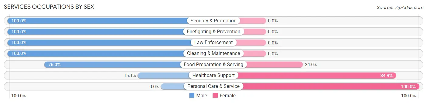 Services Occupations by Sex in Zip Code 55120