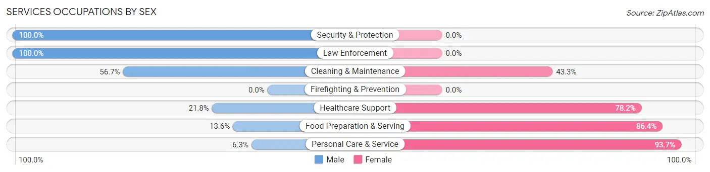 Services Occupations by Sex in Zip Code 55302