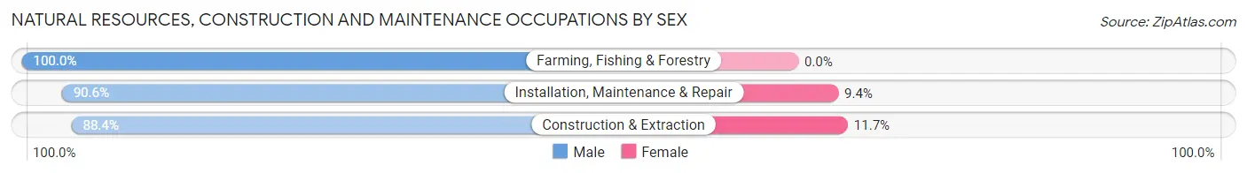 Natural Resources, Construction and Maintenance Occupations by Sex in Zip Code 55306