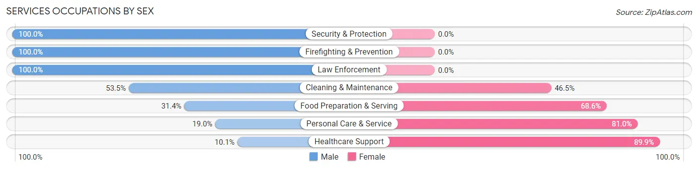 Services Occupations by Sex in Zip Code 55306