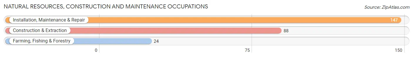 Natural Resources, Construction and Maintenance Occupations in Zip Code 55307