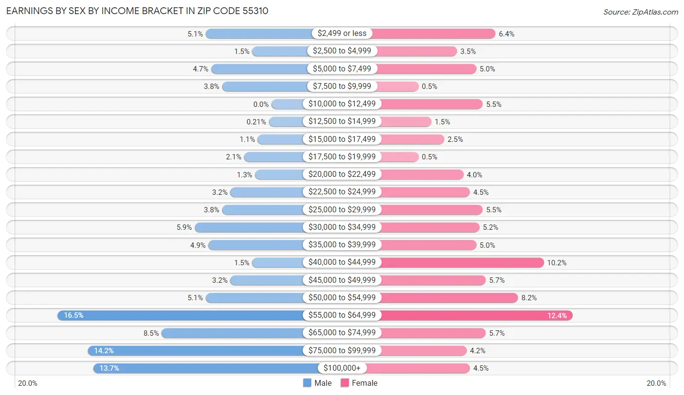 Earnings by Sex by Income Bracket in Zip Code 55310